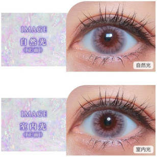 COLOR MAJORITY 1Day Claret Dazzle カラーマジョリティー クラレットダズル